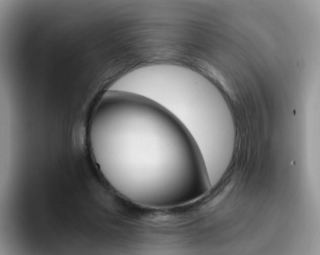 X0000092290589200709140942
