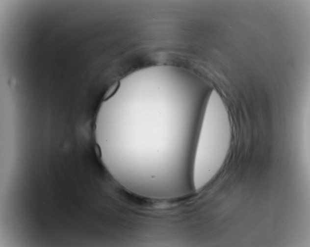 X0000092290611200709140942