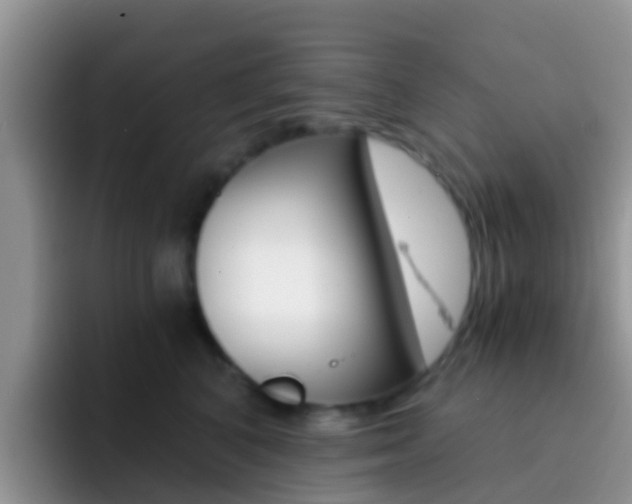 X0000092290616200709140942