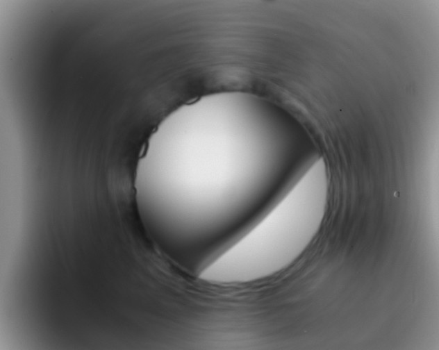 X0000092290617200709140942