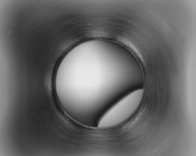 X0000092290629200709140941