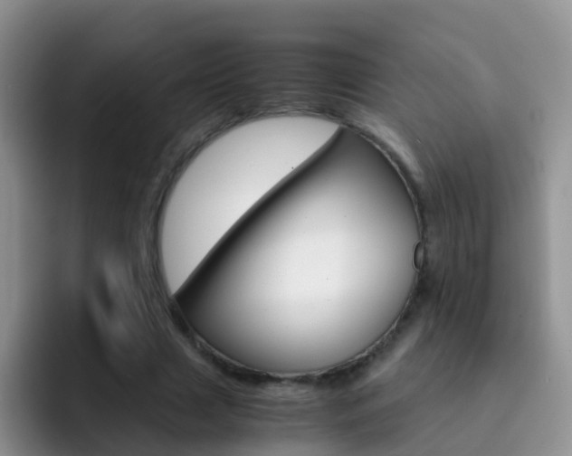 X0000092290633200709140941