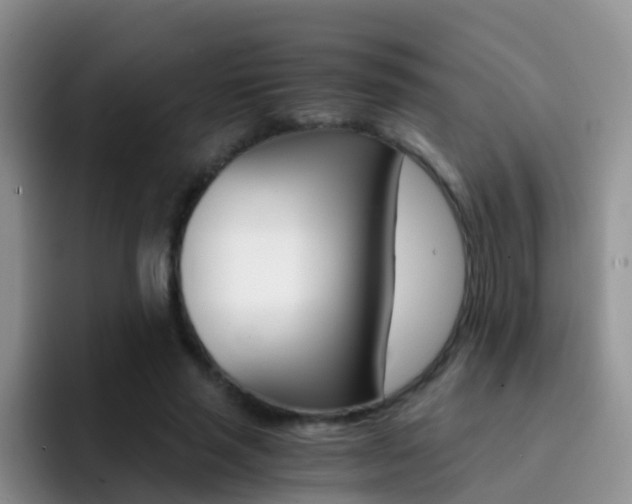 X0000092290637200709140941