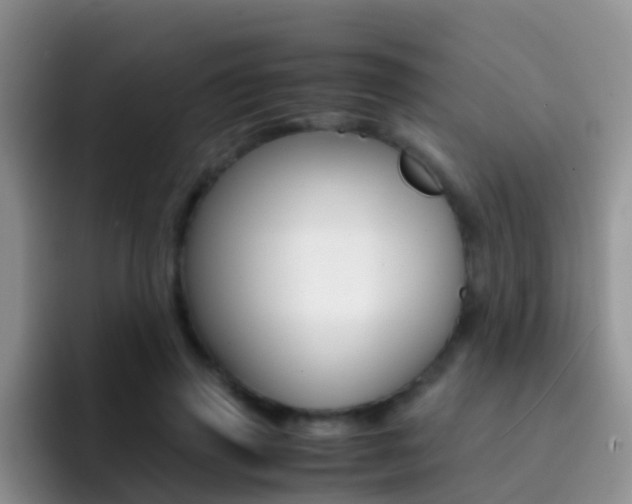 X0000092290645200709140941
