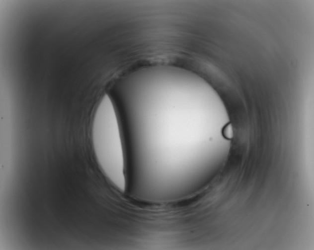 X0000092290652200709140941