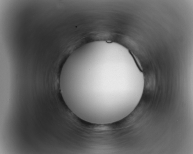 X0000092290669200709140942