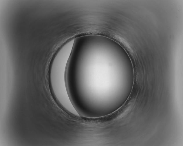 X0000092290673200709140941