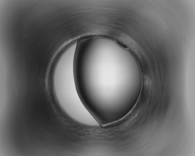 X0000092290676200709140941