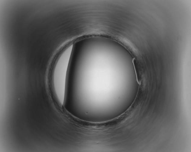 X0000092290680200709140941