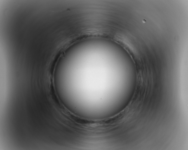 X0000092290692200709140941