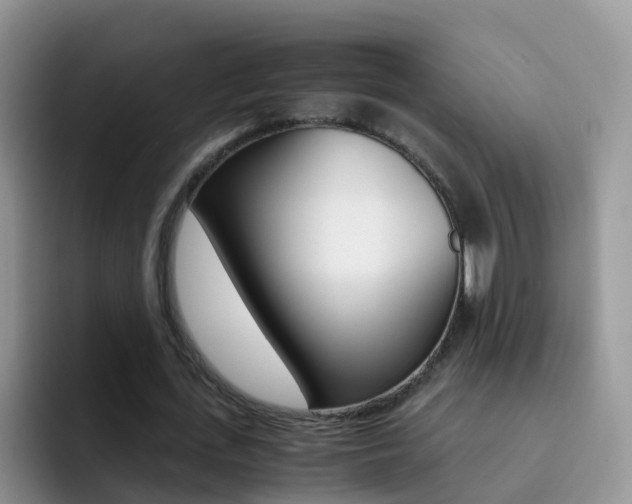 X0000092290723200709140940