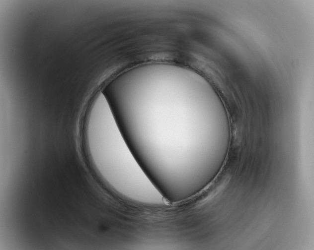 X0000092290725200709140940