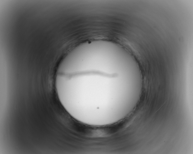 X0000092290741200709140940