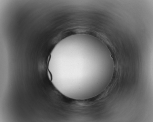 X0000092290763200709140940