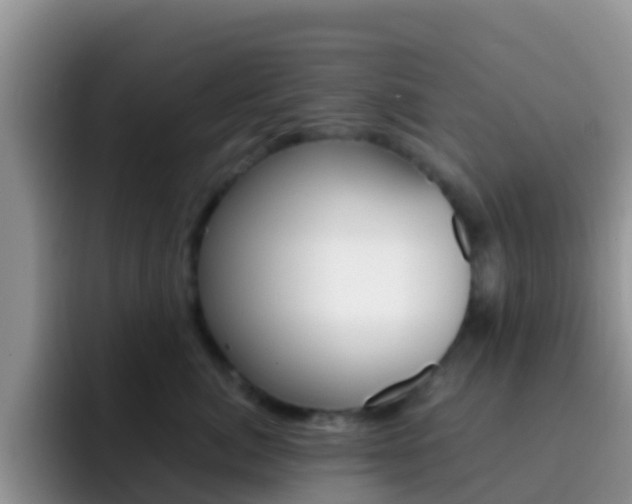 X0000092290764200709140940
