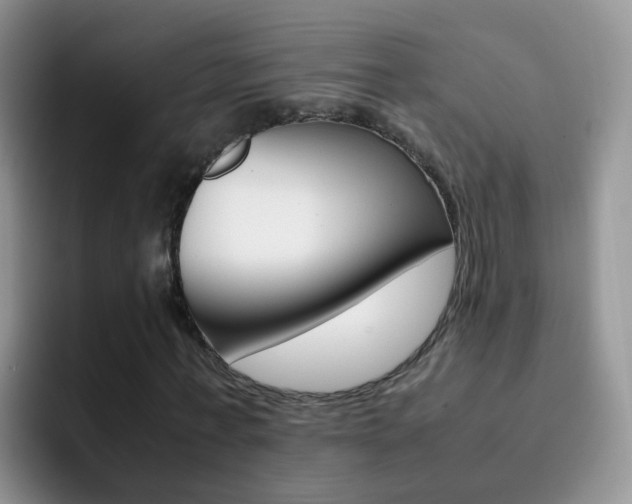 X0000092290771200709140940