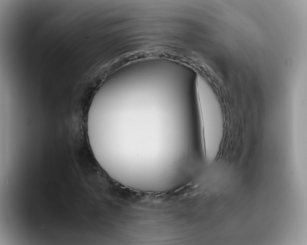 X0000092290773200709140940