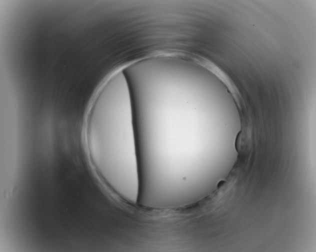 X0000092290811200709140939