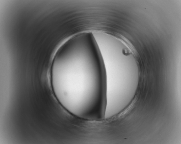 X0000092290812200709140939