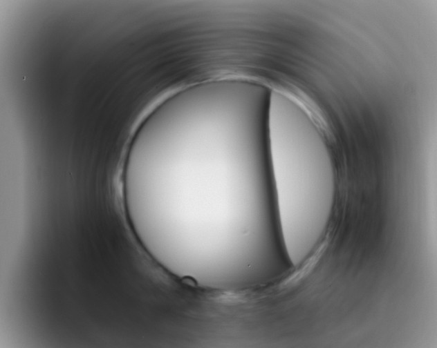 X0000092290814200709140939