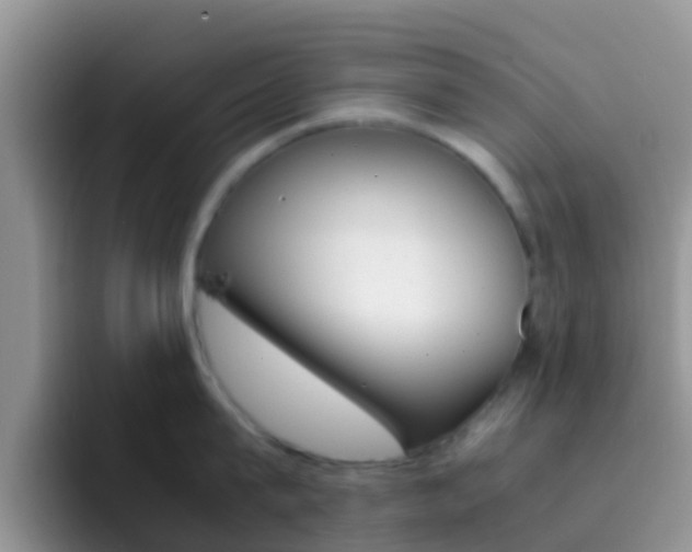 X0000092290815200709140939