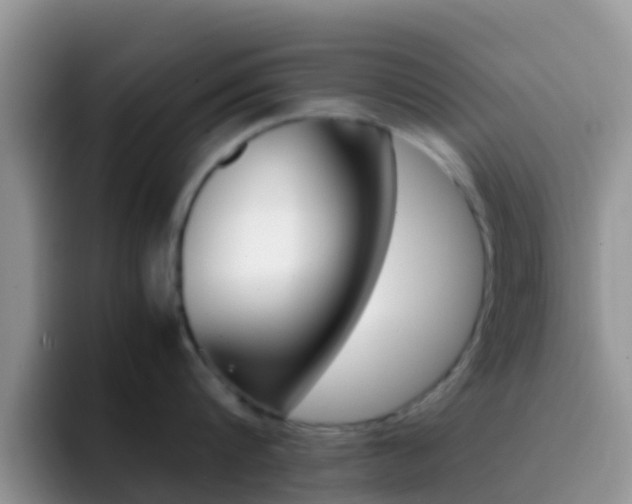 X0000092290816200709140939