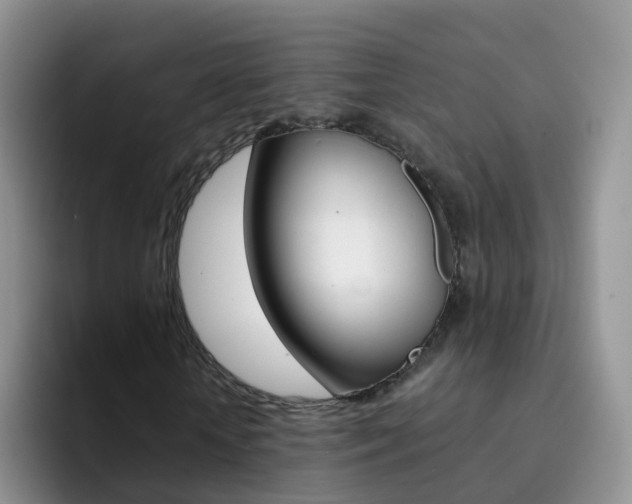 X0000092290818200709140939