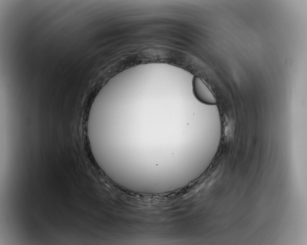 X0000092290819200709140939