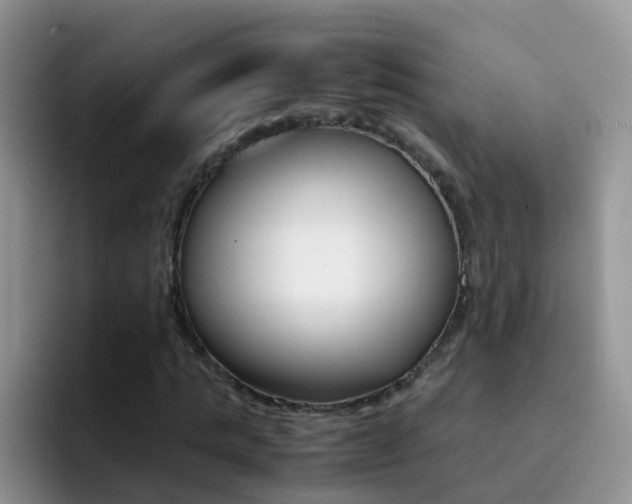 X0000092290821200709140939