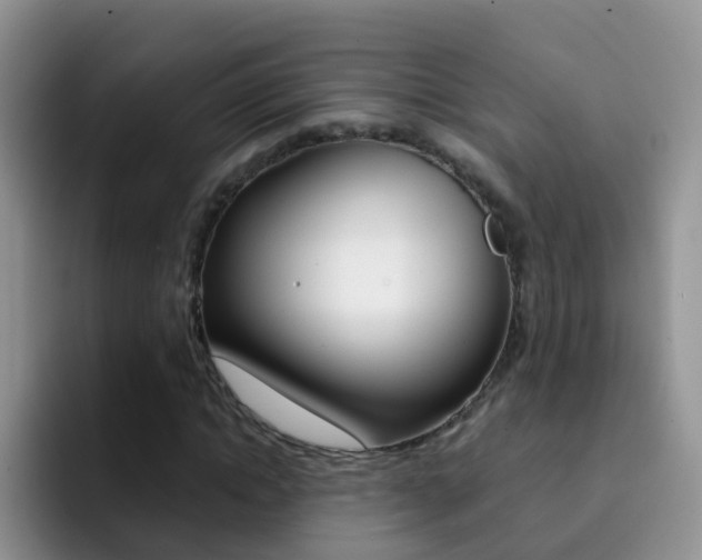 X0000092290822200709140939