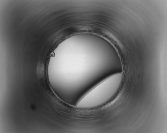 X0000092290825200709140939