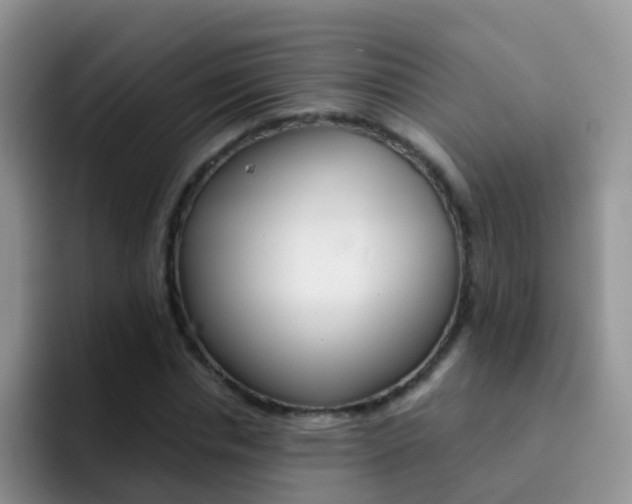 X0000092290826200709140939