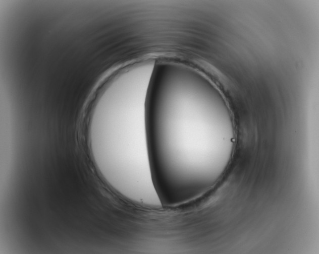 X0000092290830200709140939