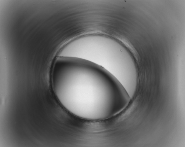 X0000092290834200709140939