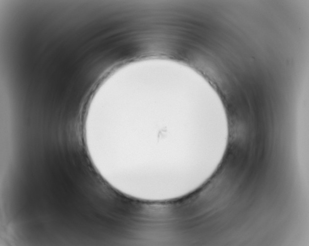 X0000092290836200709140939