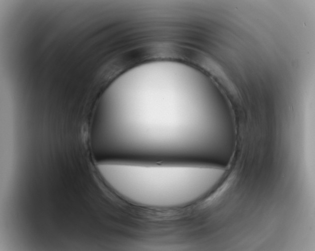 X0000092290841200709140939