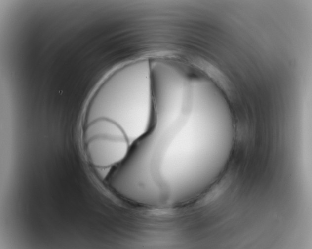 X0000092290844200709140939