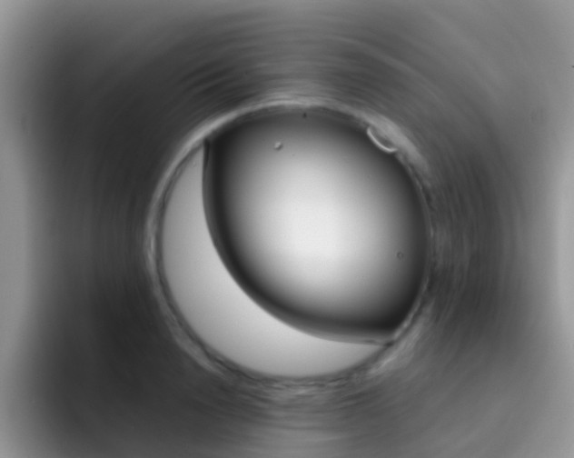 X0000092290846200709140939