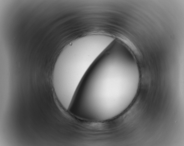 X0000092290849200709140939