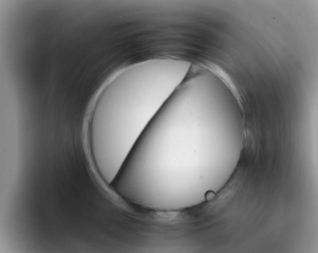 X0000092290859200709140939