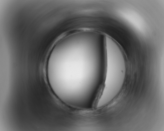 X0000092290861200709140939