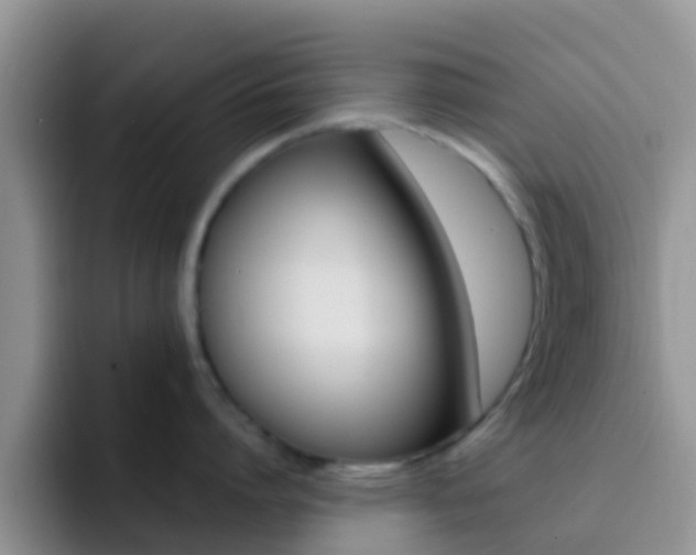 X0000092290864200709140939