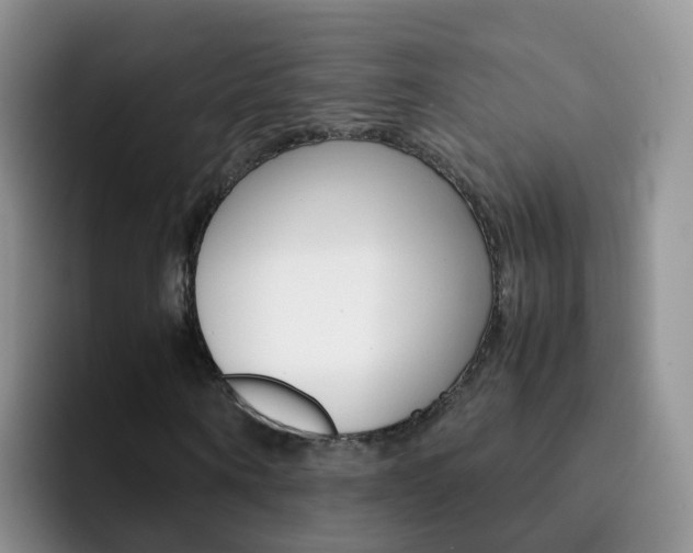X0000092290866200709140939