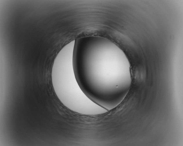 X0000092290868200709140939