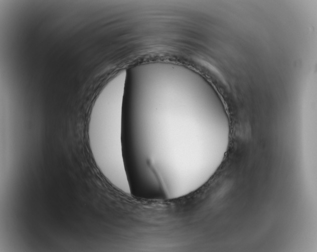 X0000092290869200709140939