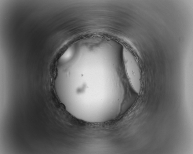 X0000092290871200709140939