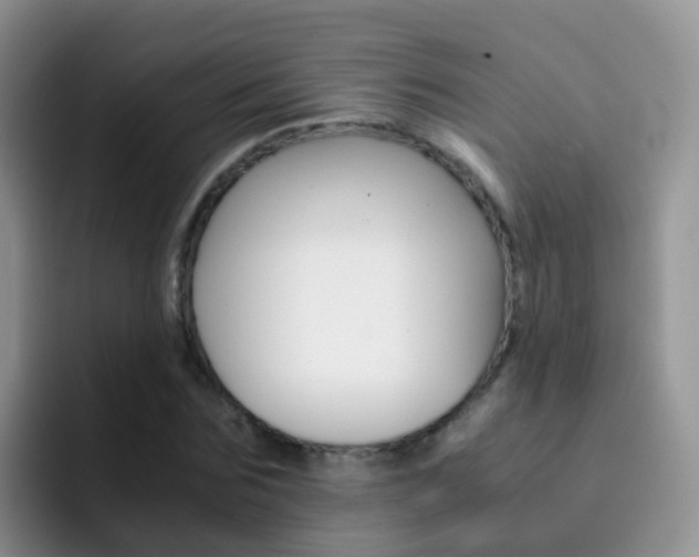 X0000092290875200709140939