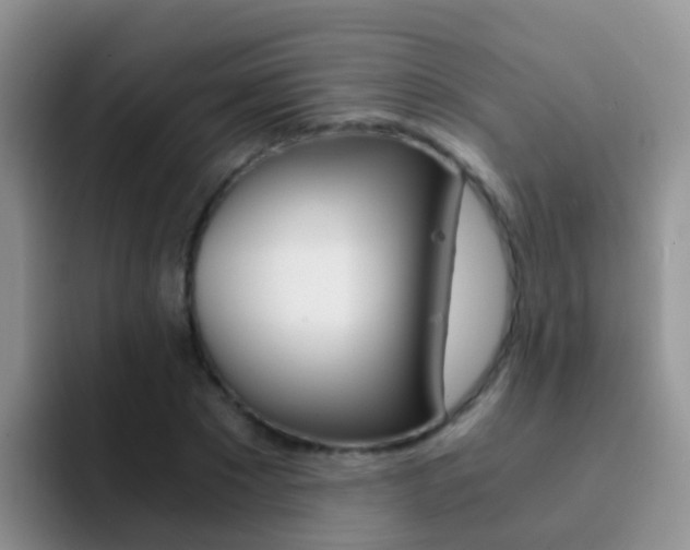 X0000092290881200709140939
