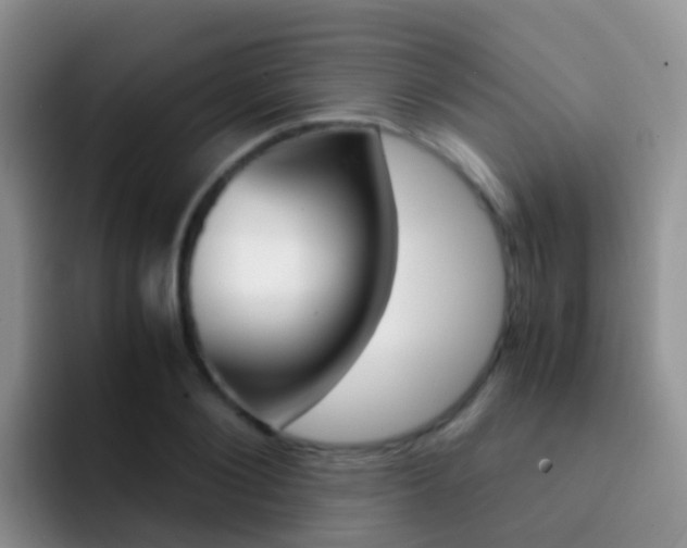 X0000092290884200709140939