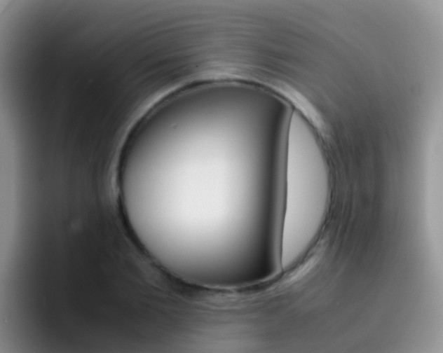X0000092290885200709140939